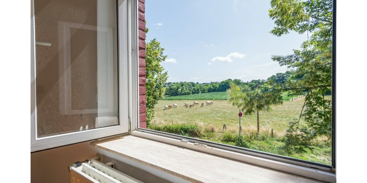 Ausblick 